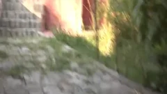 twink Garden Facial bang