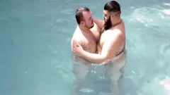 Two lusty Bears Flip Flop