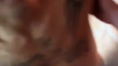 Romantic passionate Wakeup Sex