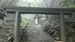 Effeminate oriental teen Enjoys An Outdoor suck