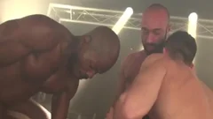 Piggy Takes Three raw cocks