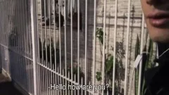 large 10-Pounder dude nails A Latin teen