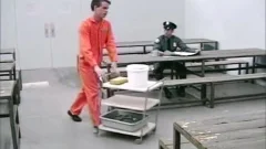 Law Enforcement In Trouble 0011