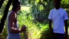 friends In pleasure Scene three