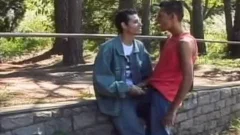 Two homosexual dudes slamming And sucking In The Woods