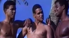 large Hard cocks I'd Like To engulf And Play With