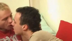 homo teens Love To engulf And poke On large Hard dicks