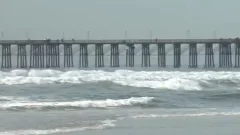 gay Surfer And black friend Mutually Masturbate On ottofellow