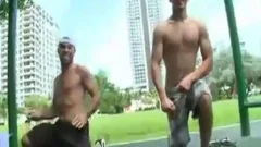 wild homosexual mans Safe driling