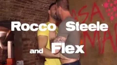 Rocco Steele