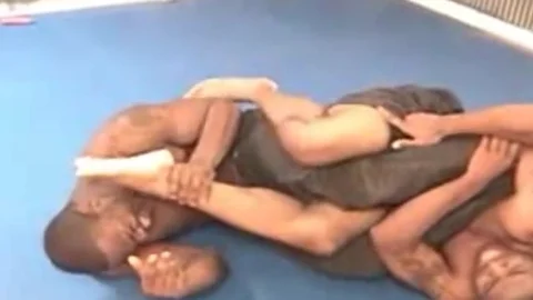 animal Pt 3
