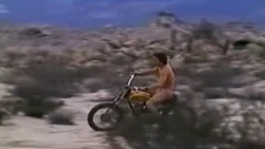 Baredevils