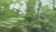 homosexual Bear Makeout Outdoor
