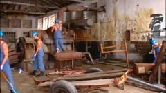 wild Construction Workers Take a Break