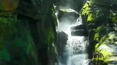 Brazilian Bulge - Scene 1 - Gentlemens clip