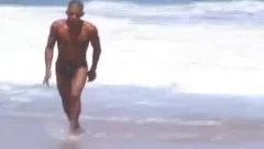 Brazilian Jungle