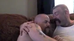 Papa Tattooed Bear And youthfuler Bear - Loving To roughly