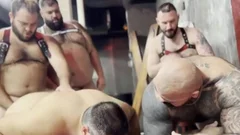 Bear orgy