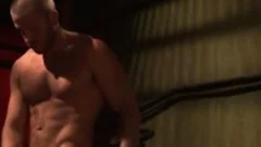 pumped up Bear Cums Tuggin