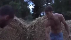 IN THE COUNTRYSIDE there're too LARGE LOGS