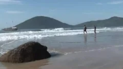Spring break gay sex on public beach hawt