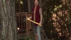 big WOOD