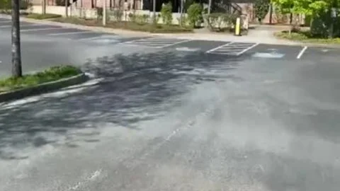fucking Outside In The Park