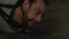 Wolf And DJ