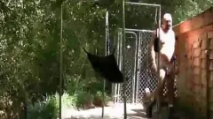 pretty Bald Bear plowed