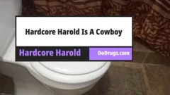 brutaly Harold Is A Cowboy