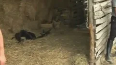 Ride Em coarse - Scene 4 - Pacific Sun Entertainment