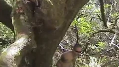 lewd gay men banging