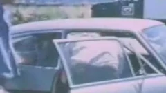 Porn Star fuckfest