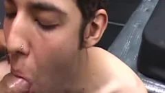 Lil' cum Pigs - cum suckers