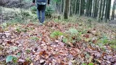 Uncut jerk off Wood