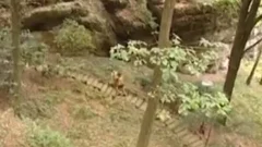 Out Door Sex For Tthellos chab First Time