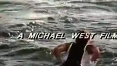 Surf's Up