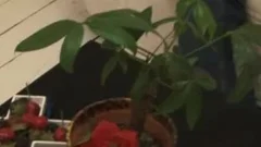 Jeune Mec