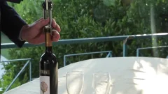 Our First Time After Dinner