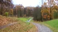 Jalandosela En El Pantano