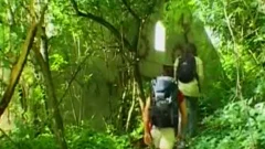 Kick Club Scene 2 Dvd Scenes
