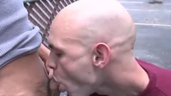 Bald Wgreetingste Hunk sucks And copulates Muscle asian