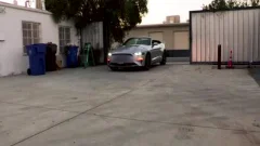 Car Cruising