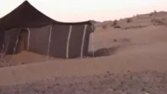 Driver has a passion for real sex