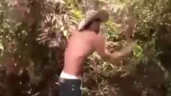Colombian homosexual males pounding Outside