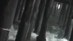 gay