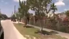 On The Hunt For Thugs