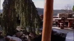 Butt sex with passionate wearing uniform