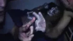 Hh