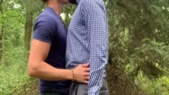 A Bear bonks In The Woods